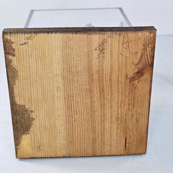 Decorative Glass Display Cube Hagen Renaker Pink Bunny Figurine Egg Dried Plants - Picture 7 of 9